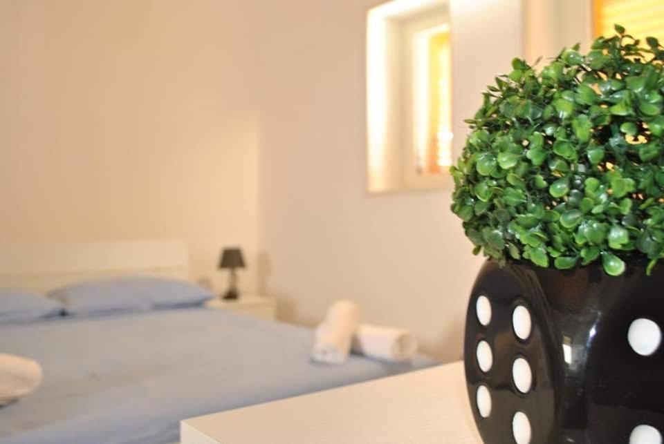 Masseria Capece Bed & Breakfast 우기아노 라 치에사 외부 사진