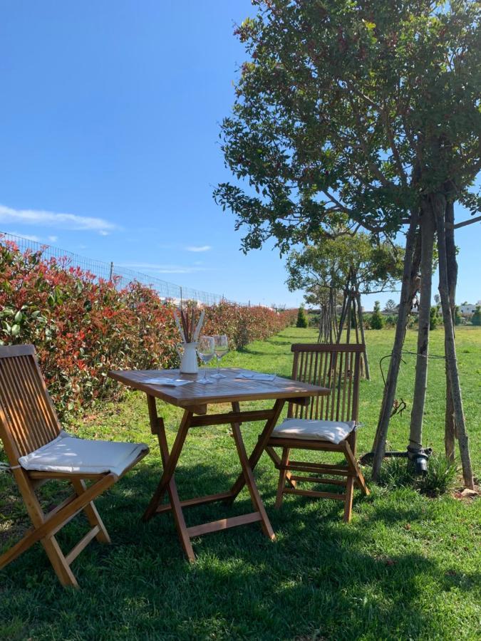 Masseria Capece Bed & Breakfast 우기아노 라 치에사 외부 사진
