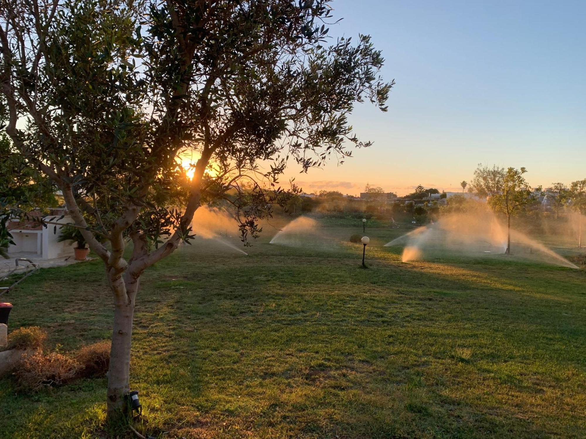 Masseria Capece Bed & Breakfast 우기아노 라 치에사 외부 사진